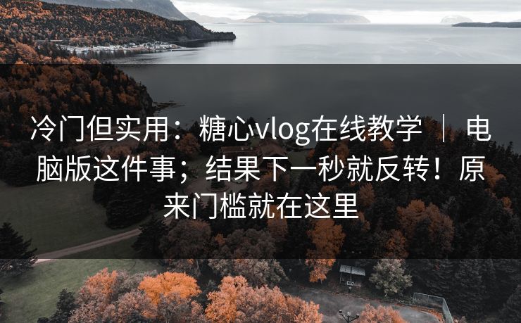 冷门但实用：糖心vlog在线教学 ｜ 电脑版这件事；结果下一秒就反转！原来门槛就在这里